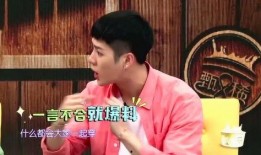 王少伟在节目中爆料视频,揭秘娱乐圈不为人知的一面